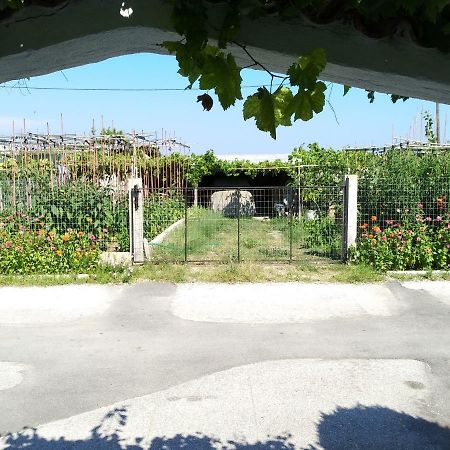 Grigorios Apartments Vrasná エクステリア 写真