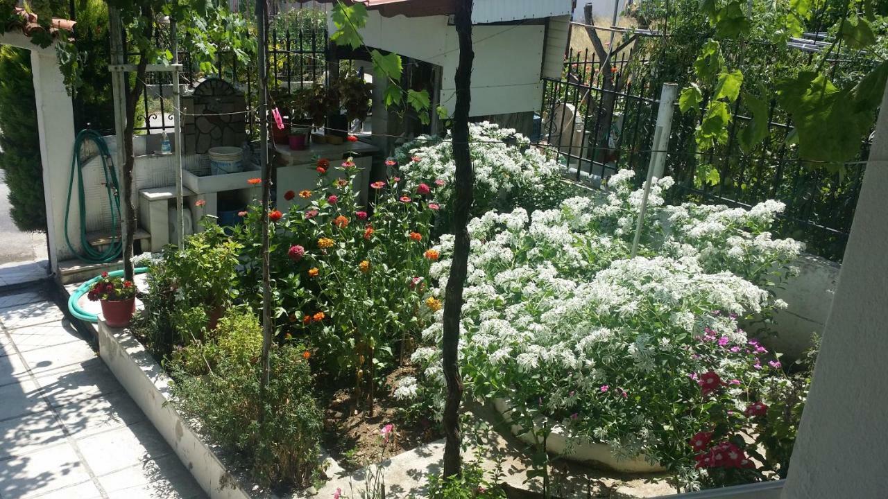 Grigorios Apartments Vrasná エクステリア 写真